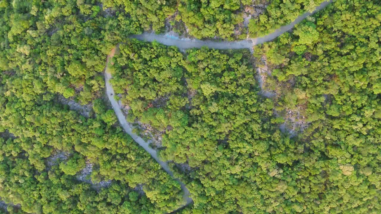 Wooded path in a desert area where there is a lot of variety of vegetation and a path to a mountain at the summit and very green trees with a lot of fauna. Aerial shot with the drone 4k 60 fps