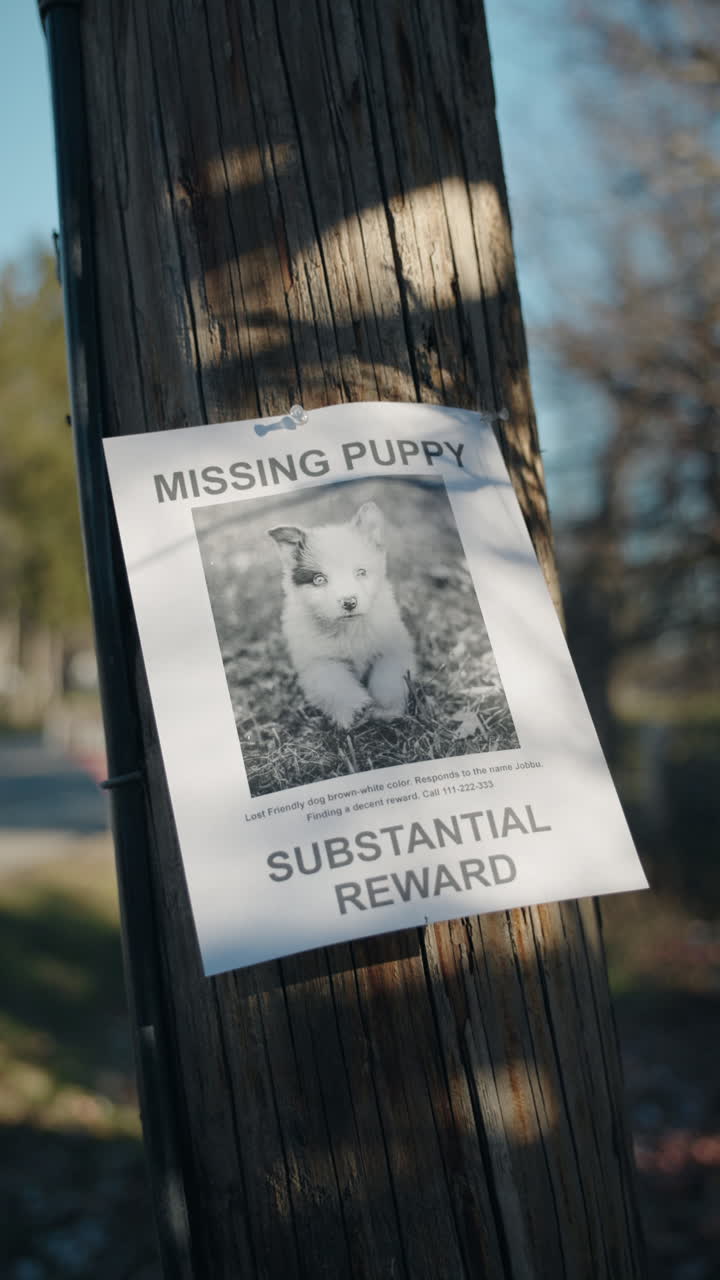 Cartaz de cachorro desaparecido afixado em poste de madeira com aviso de recompensa em rua suburbana durante o dia