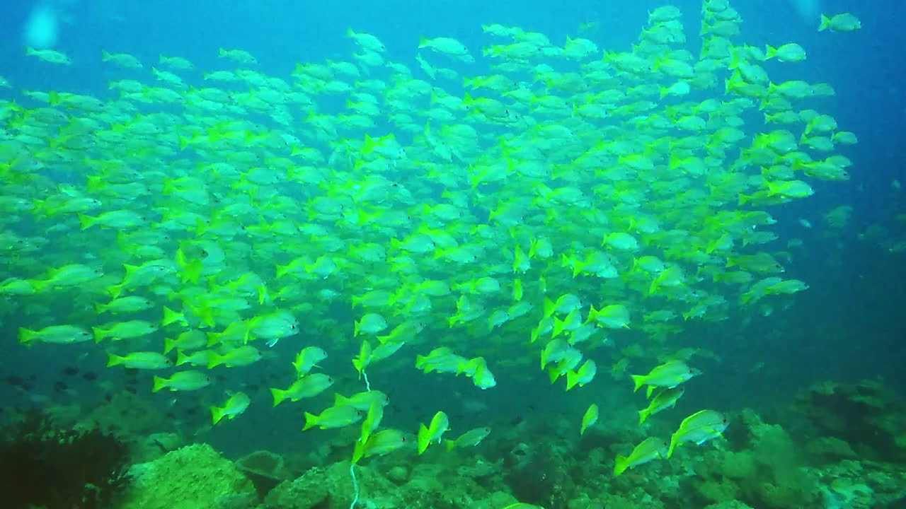 바다는 나를 부르고 있어, 내가 가야 해