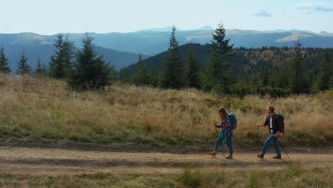 two people trekking hills exploring mountain land among green spruce woods