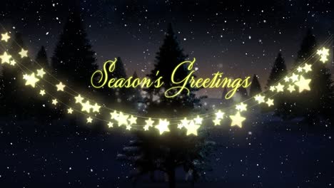 Animation-of-season's-greetings-with-christmas-fairy-lights-and-snow-falling-over-winter-landscape