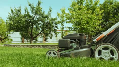 lawn mower cutting the grass. gardening activity. cutting grass with petrol driven lawn mower in sunny garden. gardener working with  mower machine in the garden. lawn mower cutting green grass