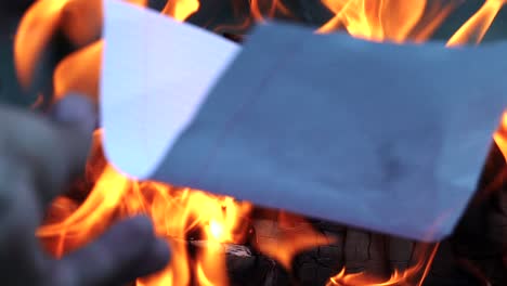 campfire of the branches burn at night in the forest. burning paper in an orange flame closeup. background of the fire.