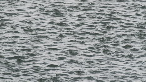 Círculos-De-Gotas-De-Lluvia-Sobre-El-Lago-En-Un-Clima-Lluvioso