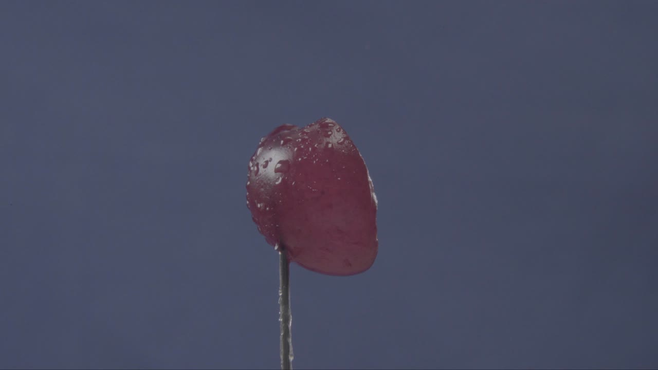 Cherry rotating with loop on blue screen for chroma key