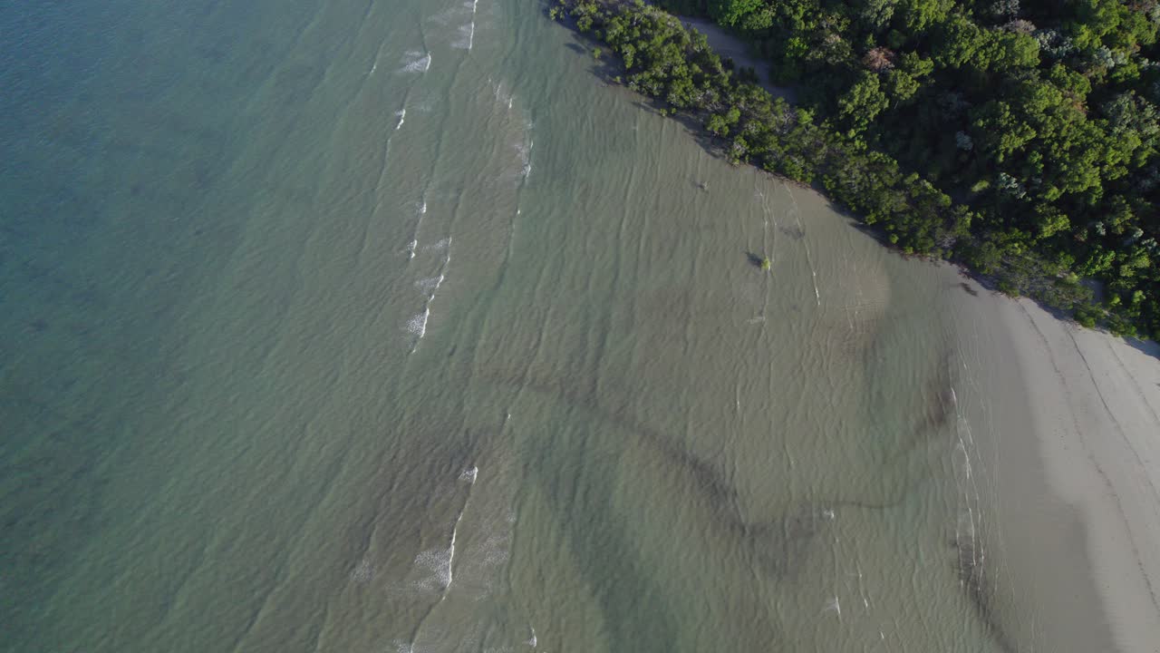 열대 낙원에서 바다를 만나는 열대 우림