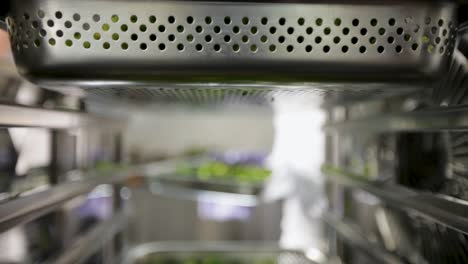steam rising from fresh greens in a tray being placed into an industrial kitchen steamer, focus on foreground