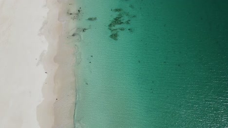 Imágenes-De-Drones-De-La-Playa-De-Mindarie-Mostrando-El-Agua-Clara-Del-Océano-Y-Las-Arenas-Blancas-De-Perth,-Australia-Occidental