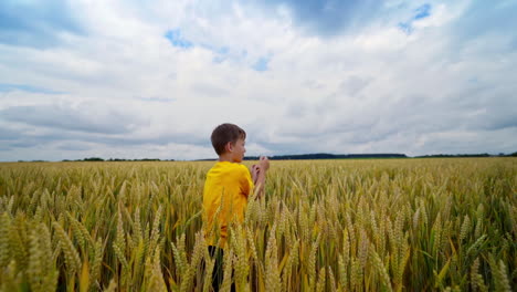 boy with his airplane. happy boy throwing toy airplane on wheat field