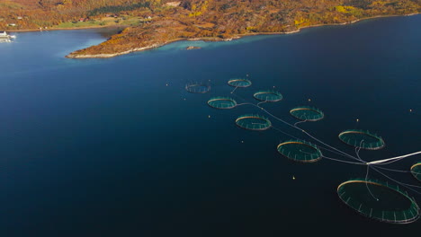 vista de gran altitud de la operación de cultivo de salmón en el pintoresco círculo polar ártico