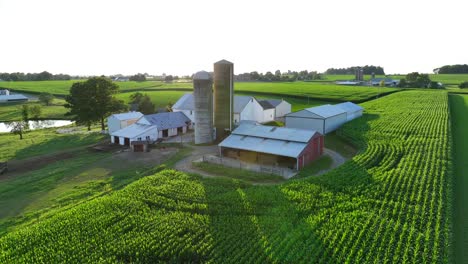 Rural-farm-in-USA