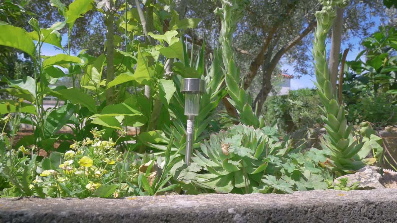 정원의 태양 전지 패널 전원 led 조명