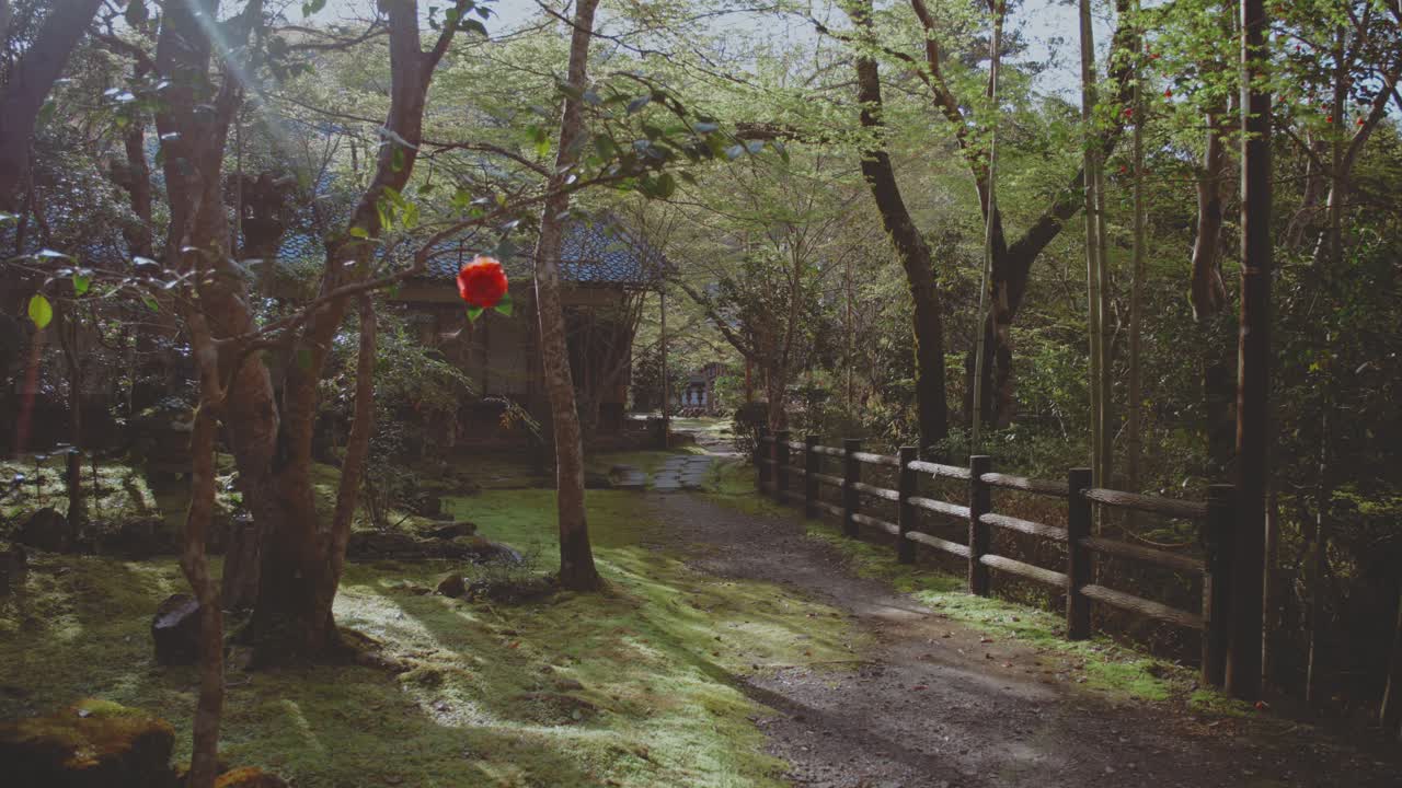 Peaceful garden path in Takaosan, Japan. Sunlight filters through the trees, illuminating the lush greenery and creating a tranquil atmosphere. Ideal for nature and travel themes.