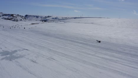 horse dragging sled on frozen cildid lake across open landscape turkey