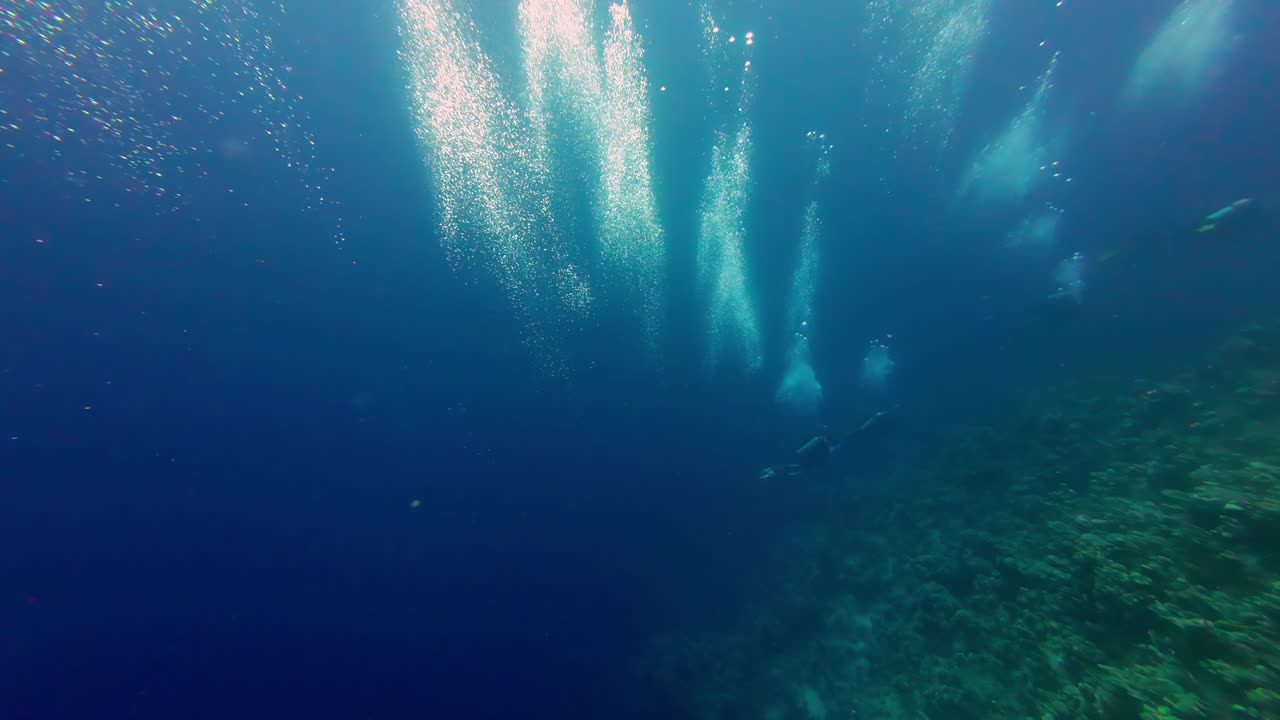 paisaje submarino de buzos en el mar rojo con luz natural en dahab, egipto