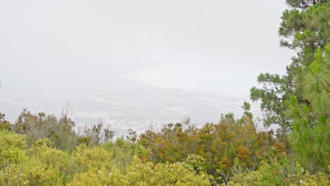 Guimar-valley-covered-in-fog,-panning-high-angle