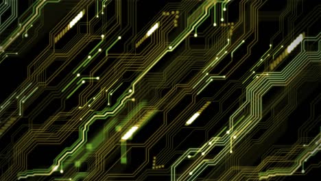 fondo abstracto digital con líneas holográficas 3d big data. animación en bucle verde. fondo tecnológico con información digital y red