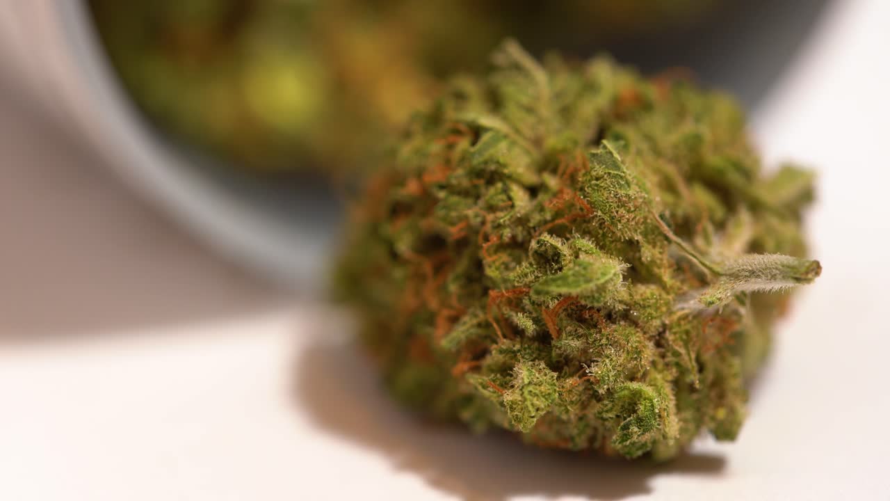 Tilt down to marijuana bud coming into focus