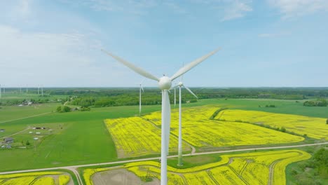 aerial establishing view of wind turbines generating renewable energy in the wind farm, blooming yellow rapeseed fields, countryside landscape, sunny spring day, drone shot moving backward