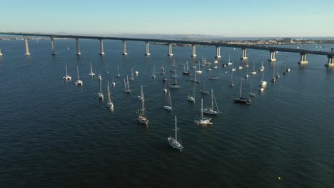 beautiful skyline of downtown san diego showing all the building flying over the harbor viewing some boats