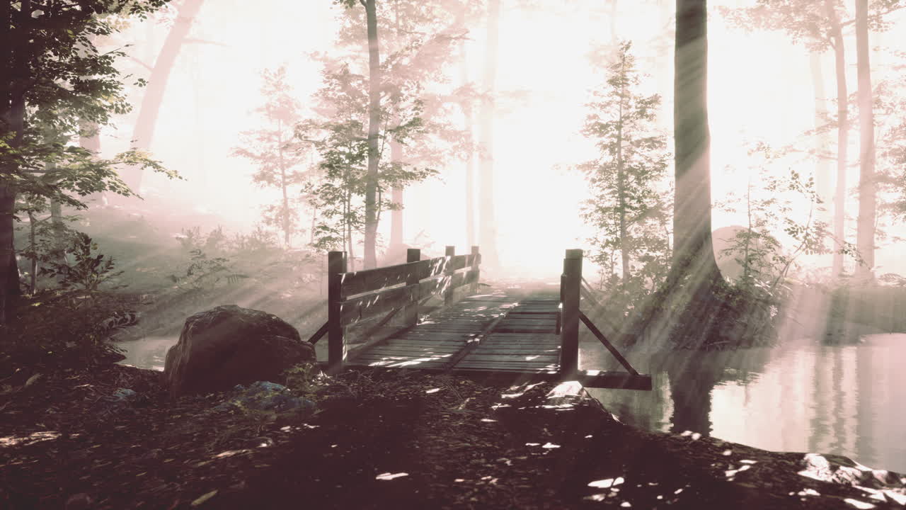 Wooden bridge in the forest in the fog