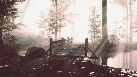 Puente-De-Madera-En-El-Bosque-En-La-Niebla