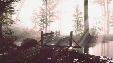 houten brug in het bos in de mist