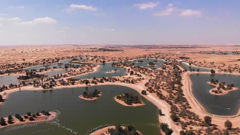 Toma-Aérea-De-Los-Lagos-Artificiales-De-Al-Qudra-Dubai-Uae-Desierto-Oasis