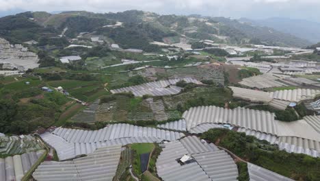 general landscape view of the brinchang district within the cameron highlands area of malaysia