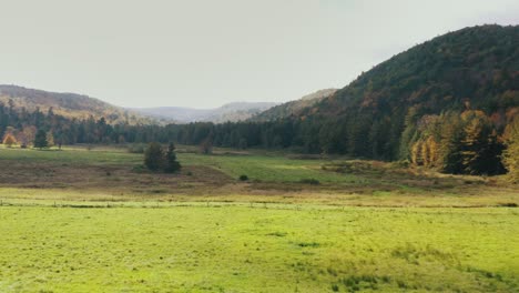 Drone-forwarding-shot-over-the-hilly-terrain-covered-with-green-vegetation-of-trees-and-grass-in-Litchfield,-Connecticut,-United-States-on-a-cloudy-day