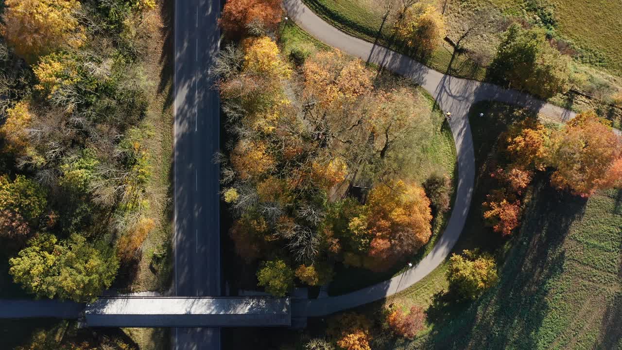 A cyclist is riding up a curvy road in top down view at the fall season