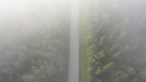 Flying-above-a-empty-forest-road-with-cloudy-fog-in-the-below-drone