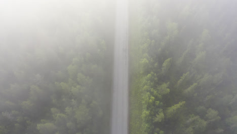 Volando-Sobre-Un-Camino-Forestal-Vacío-Con-Niebla-Nublada-En-El-Dron-De-Abajo