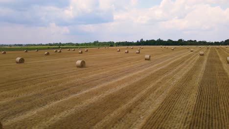 Fardos-De-Paja-En-El-Campo-De-Heno-Cosechado