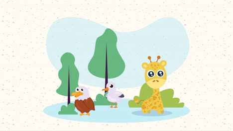 birds and giraffe characters animation
