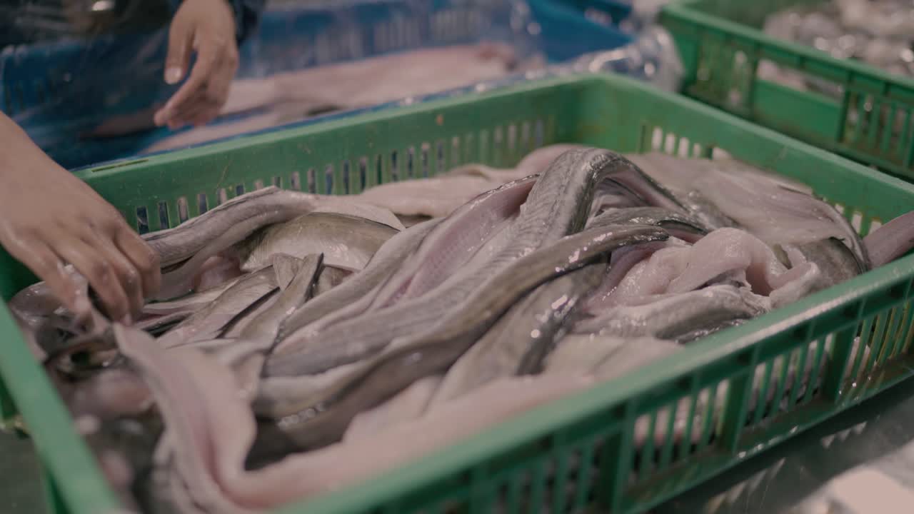 Raw Fish or Eel Fillets in Green Crate at Karachi Processing Factory