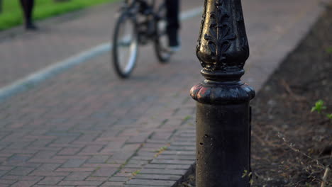 people cycling at the park