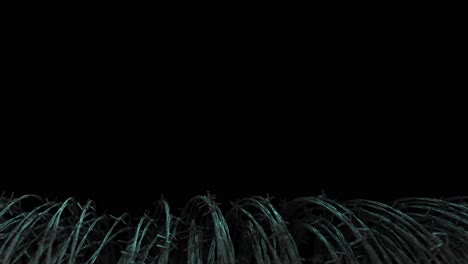 realistic 3d render of a coil of barbed wire - replace the background and it's ideal for titles, etc