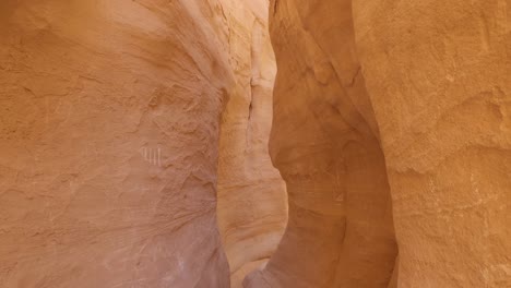 looking down empty narrow sandstone slot canyon in egypt