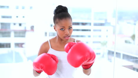 Natural-model-boxing-with-camera