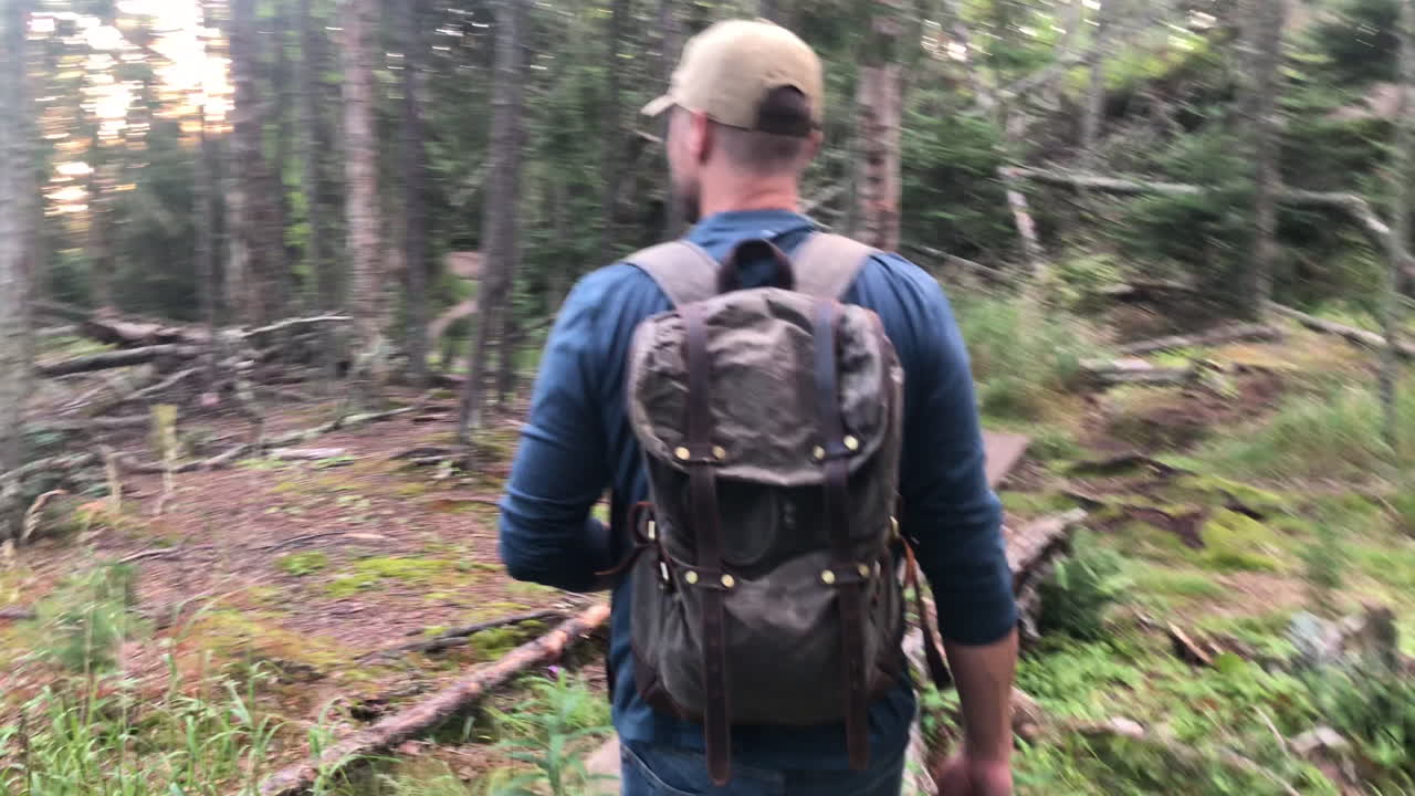 There's magic and wonder among the trees