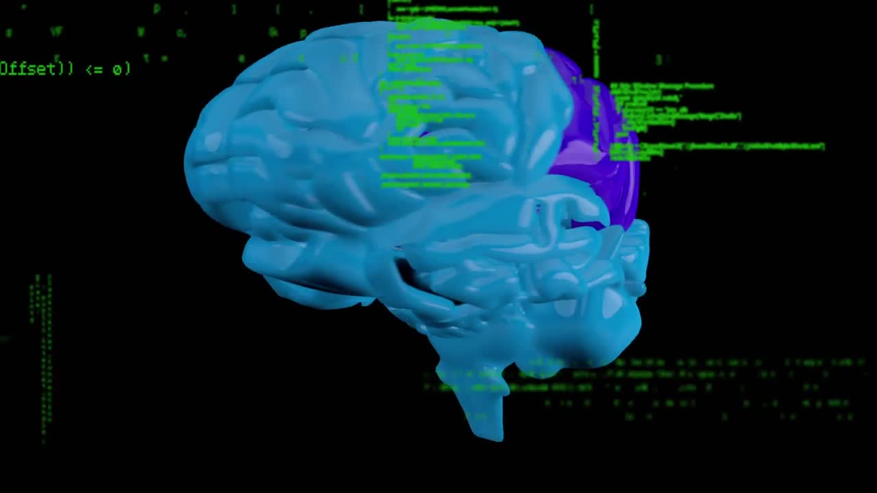 회전하는 뇌의 디지털 애니메이션