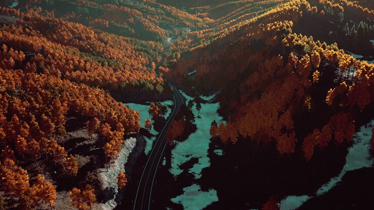 Vista aerea della strada tortuosa che attraversa la foresta d'autunno