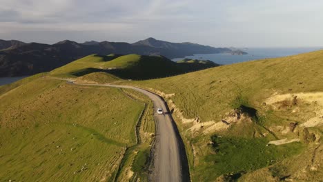 vista aérea de la carretera del paso francés con un vehículo de conducción que pasa por ovejas que pastan durante la puesta de sol en nueva zelanda