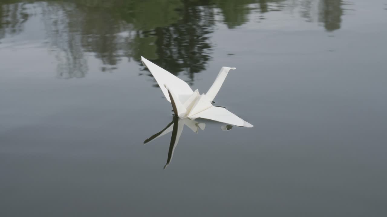 poniendo origami cisne a la superficie del agua, primer plano de la mano