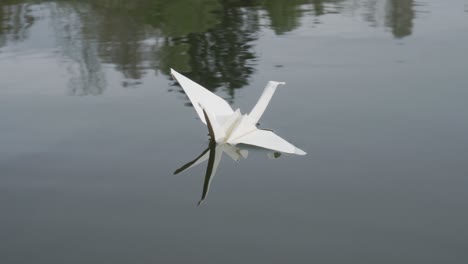 putting origami swan to water surface, closeup of hand