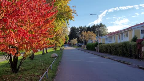 Calle-Durante-El-Otoño-Con-árboles-Llenos-De-Hojas-Rojas,-Naranjas,-Amarillas-Y-Verdes