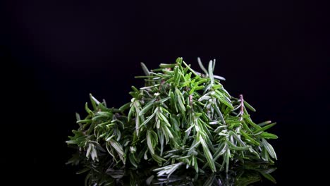fresh rosemary rotates on a reflective black surface, highlighting its texture and vibrant green color under studio lighting