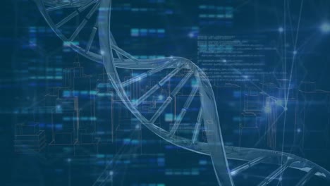animación digital del giro de la estructura del adn y la red de conexiones contra un fondo azul