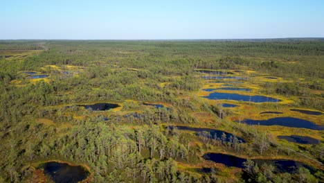 aerial view of a vast wetland ecosystem
